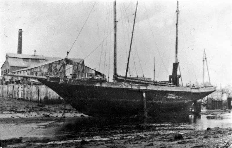 ACQ74-1-1.jpg