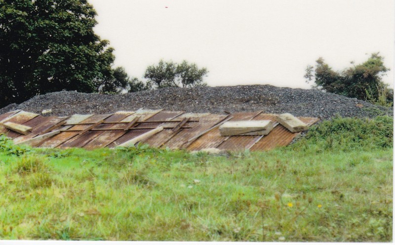 15.jpg 15.jpg