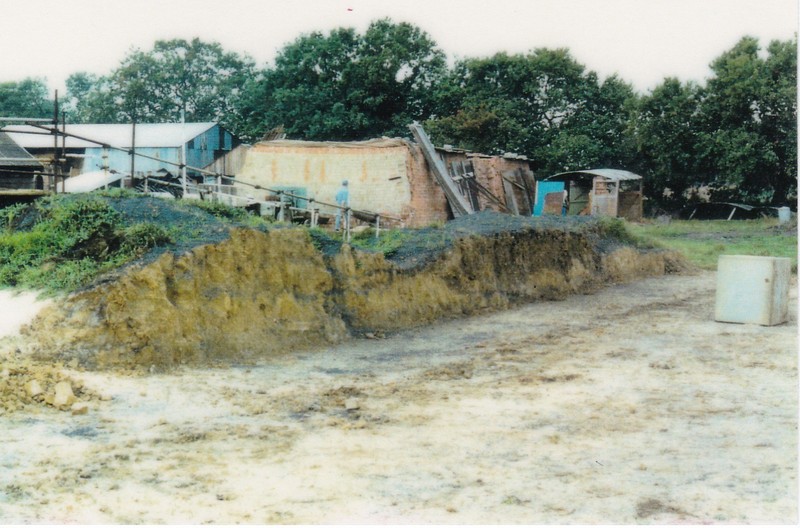 13.jpg 13.jpg
