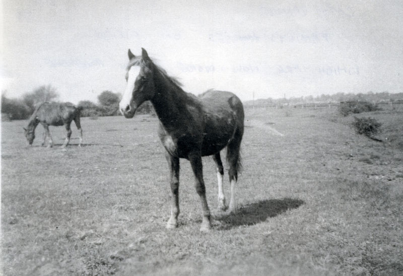 ACQ811-3-3.jpg