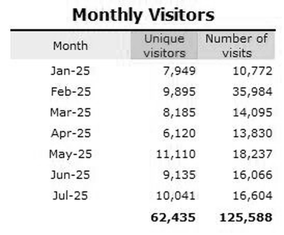 Monthly Visitors Digital bw.jpg