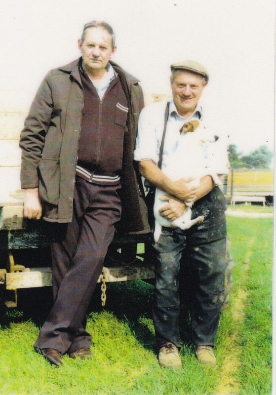 21.jpg 21.jpg